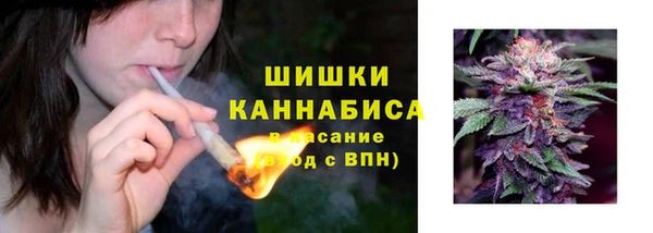 спиды Медвежьегорск