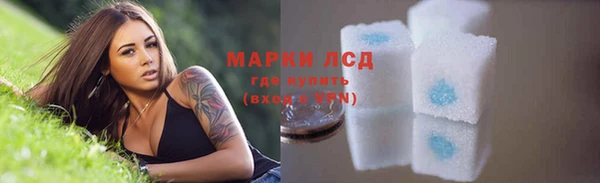 спиды Медвежьегорск