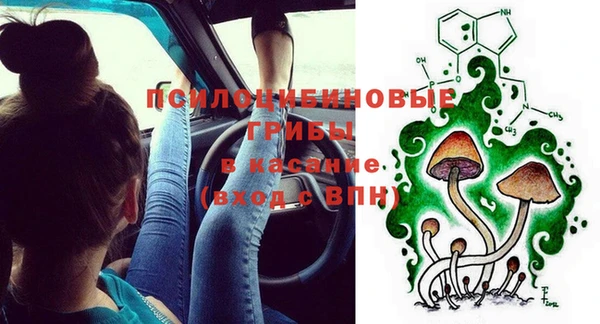 спиды Медвежьегорск