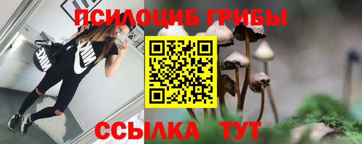 Галлюциногенные грибы Psilocybe  купить наркоту  Вход с VPN  Балабаново  Псилоцибиновые грибы Psilocybine cubensis 