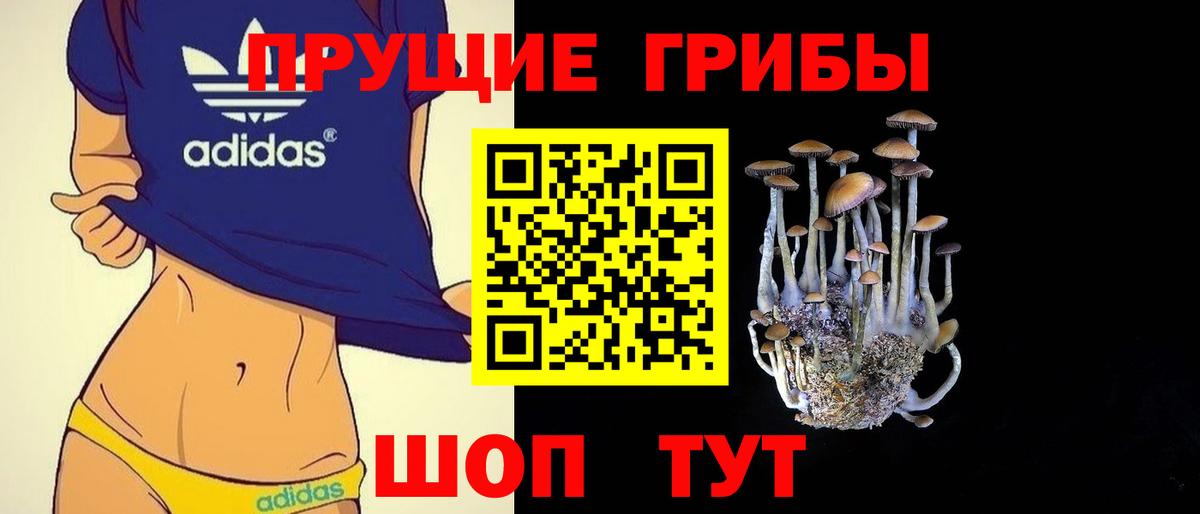 Псилоцибиновые грибы MAGIC MUSHROOMS Балабаново